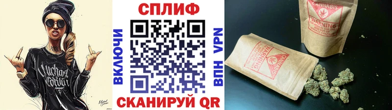 Конопля индика  Мосальск 